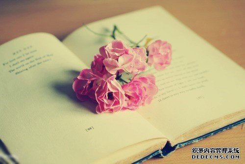 测试:你最近的桃花指数有多高?