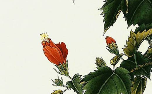 天医加延年结尾最佳号码组合,最新旺运吉祥的手机尾号