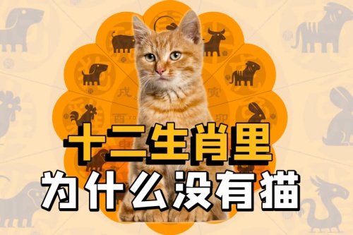 十二生肖为什么没有猫
