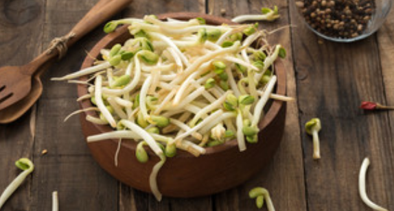 梦见豆芽是什么意思 周公解梦梦见豆芽解析