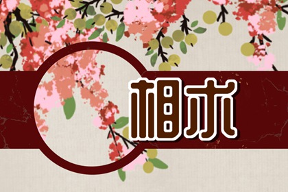 脑门大的女生好吗 脑门大的男生性格