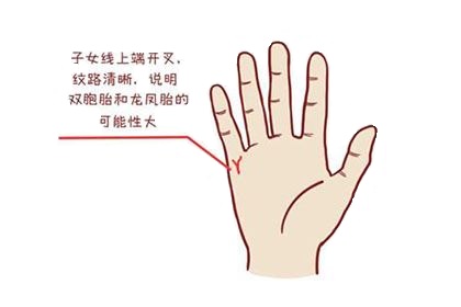 手相可以看出几个孩子