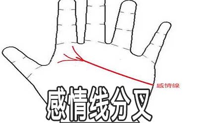 感情线末端分叉是什么意思
