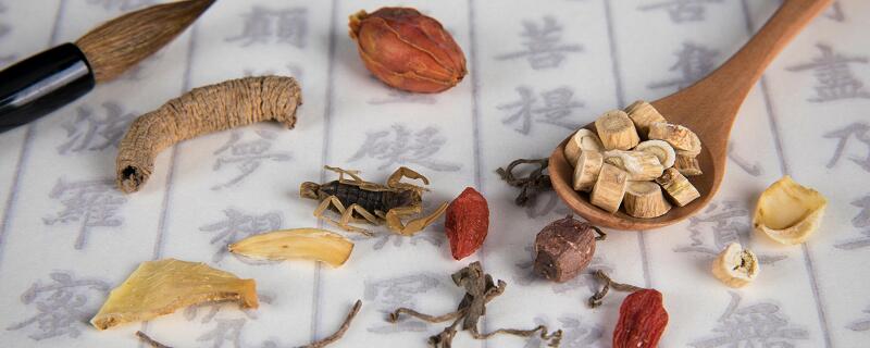 梦见草药预示什么 梦见草药有什么征兆