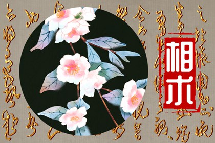 招风耳是什么样子图片 虚荣心过旺