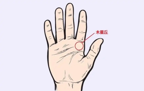 木星丘有横纹代表什么