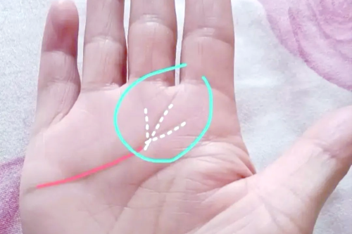 事业线后面有凤尾纹有什么说法
