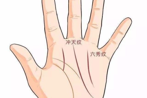 霸王线和三奇纹区别?
