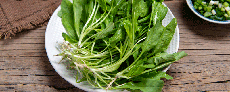梦见荠菜预示什么 梦到荠菜好不好