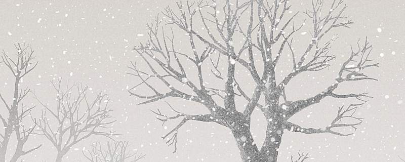 梦见大坑长树是什么意思 梦见大坑长树是什么预兆解梦