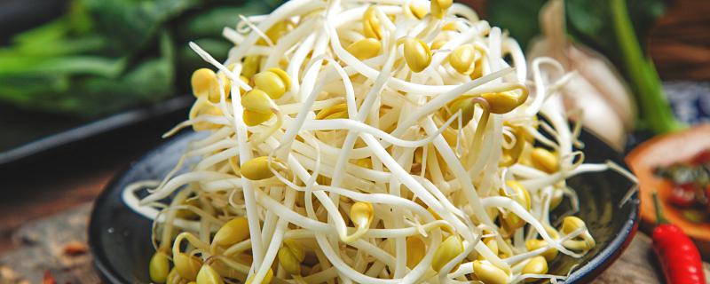 梦见豆芽是什么意思 梦见豆芽意味着什么