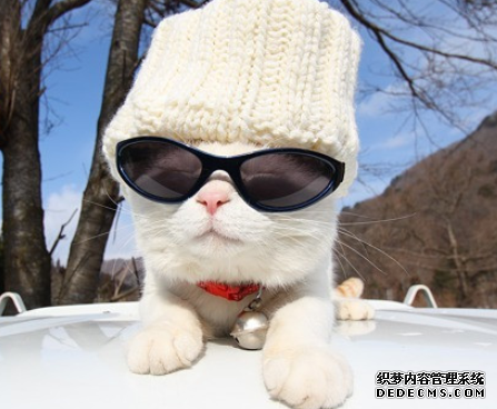 你职场生活适合怎样的解压法