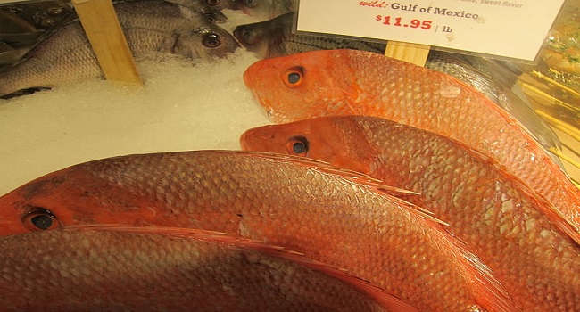 梦见鲷鱼是什么意思 梦见鲷鱼有什么预兆