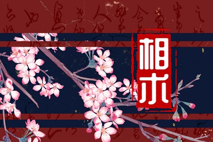 三角眼睛女人面相 精明能干