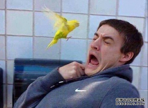 当你遇到什么事会手足无措,乱了阵脚