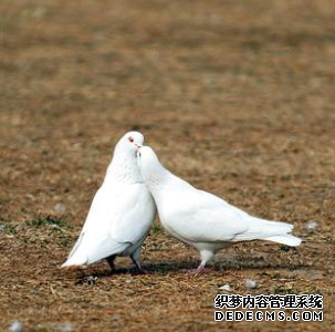 你是哪种职场惹祸精