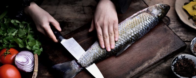 男人梦见鱼是什么意思 男人梦见鱼预兆什么