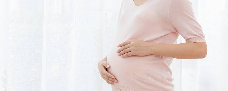 孕妇梦到在地里摘棉花寓意好不好 梦到摘白棉花寓意着什么