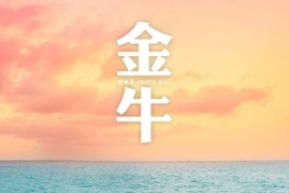 金牛座寂寞会怎么做