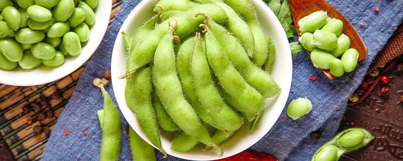 梦到豆角秧什么意思 梦到豆角秧预示着什么
