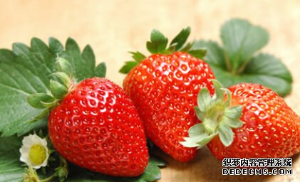 食物测试你现在适合换工作吗