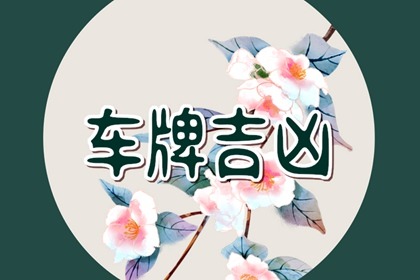 数字能量分析11位手机号 车牌号11跟12哪个好