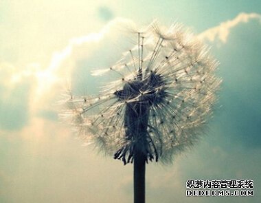 工作中你专注于什么