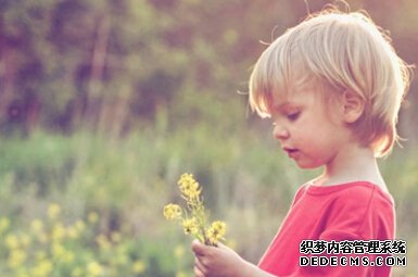 你工作压力有多大