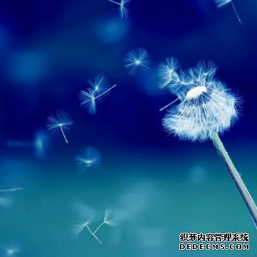 择友时你爱与何人为伍