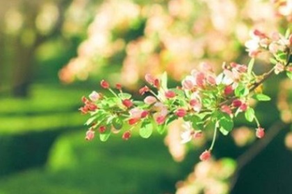 怎样与巨蟹座和平分手