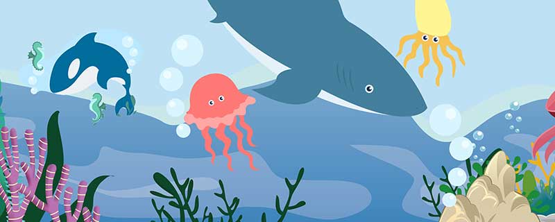 梦见水生物什么意思 梦见水生物什么征兆