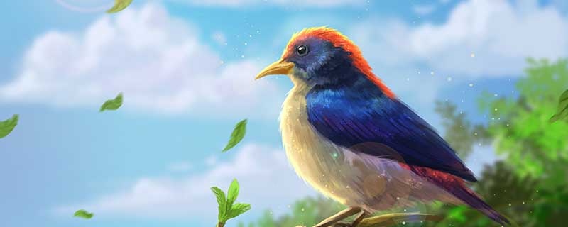 梦见鹏鸟什么意思 梦见鹏鸟什么征兆