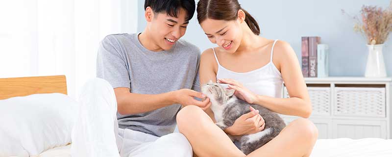 梦见猫爬到身上甩不掉什么意思 梦见猫爬到身上甩不掉预示什么