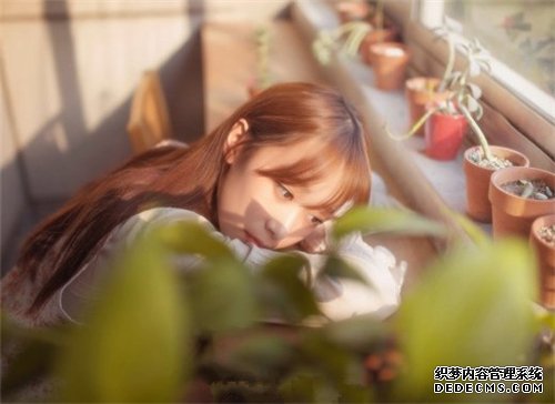 测试:你更倾向做一个,职业女性or家庭妇女?