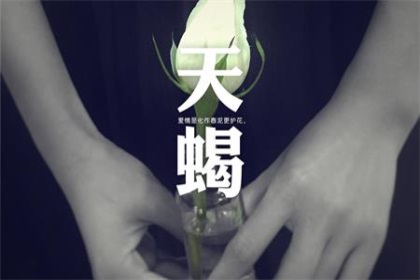 爱上天蝎座有多累