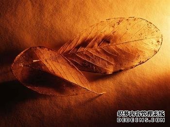 你是老板心中的潜力股吗