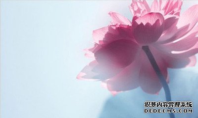 你是如何看待权利呢