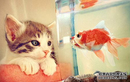 测你在2013年是否犯小人