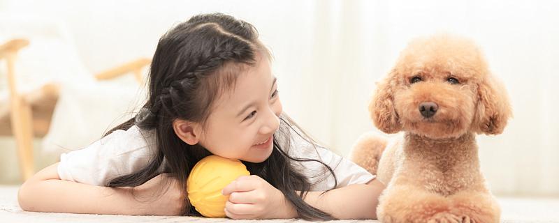 梦到自己养的狗丢了是什么意思 梦到自己养的狗丢了意味着什么