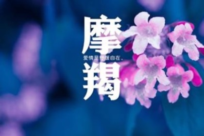 摩羯座寂寞会怎么做