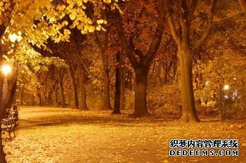 秋季你会遇到哪种艳遇