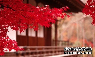面对谁的时候你最冷血