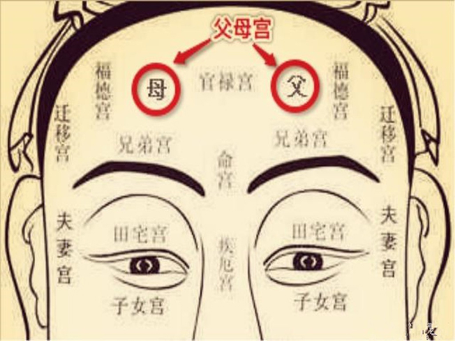 日月角突出的面相,日月角突出必为贵人