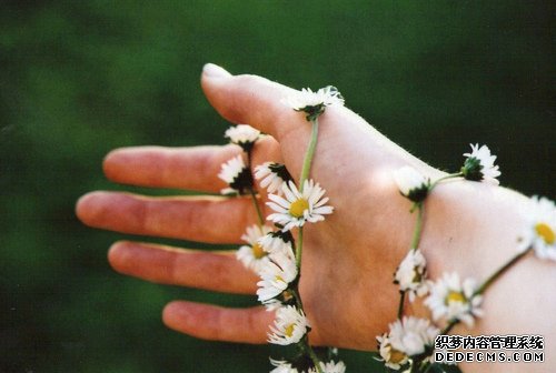 推算年龄测出你的智商