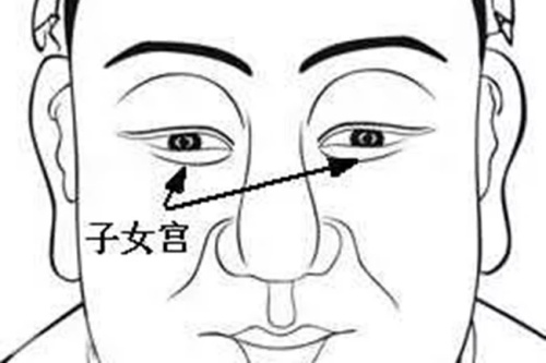 面相中子女宫在哪个位置