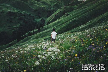 测你做事总是拖延的原因是什么
