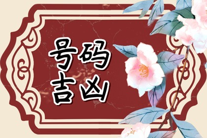 车牌号0到9数字代表的含义 吉利车牌号数组