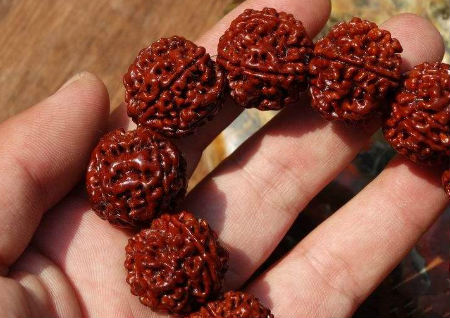金刚菩提子怎么盘红 金刚菩提子怎么盘红