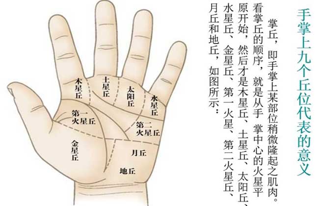 手相算命图解大全