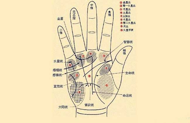 手相算命图解大全